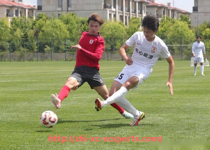 杏彩体育-法甲赛季关键比赛盘点及比赛胜负影响因素