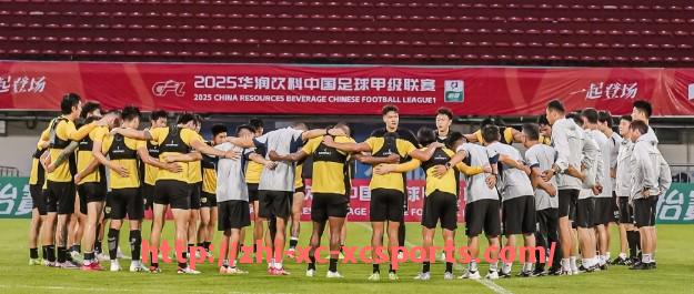 杏彩体育-意甲俱乐部老板身份背景汇总与经营战略分析