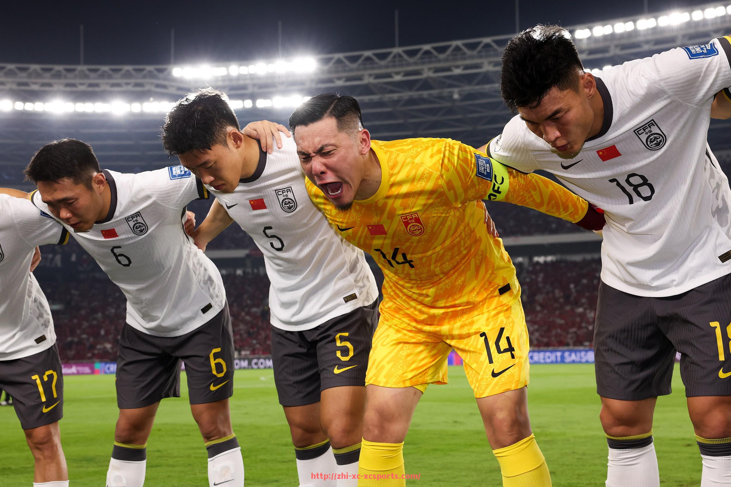 杏彩体育-西甲联赛0809赛季：回顾西甲2008-2009赛季的比赛与冠军